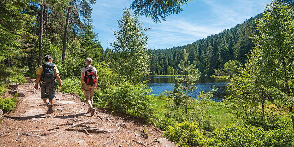 Things to do in the Black Forest